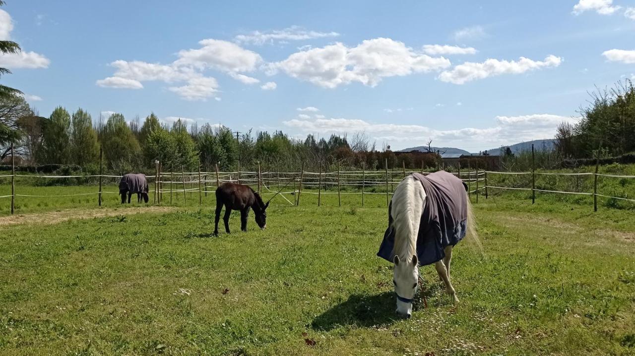 Apartament Il Fienile Della Farnia Pistoia Zewnętrze zdjęcie